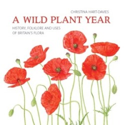 Wild Plant Year