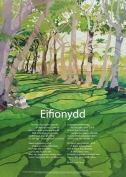 Eifionydd