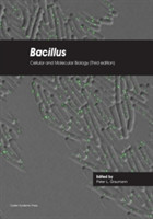 Bacillus: Cellular and Molecular Biology