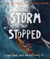 The Storm That Stopped Storybook