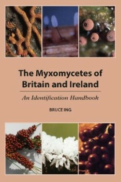 Myxomycetes of Britain and Ireland