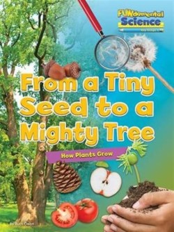 From a Tiny Seed to a Mighty Tree