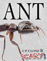 Up Close & Scary Ant