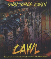 Cawl