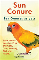 Sun Conure. Sun Conures as Pets