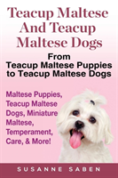 Teacup Maltese And Teacup Maltese Dogs