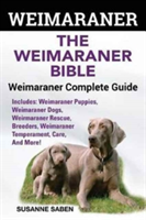 Weimaraner