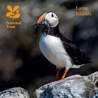 Farne Islands