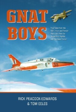 Gnat Boys