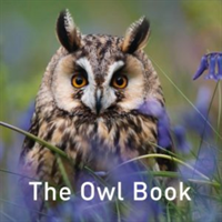 Nature Book Series: The Owl Book