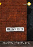 Cyfres Amdani: Stryd y Bont