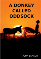 Donkey Called Oddsock