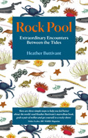 Rock Pool 