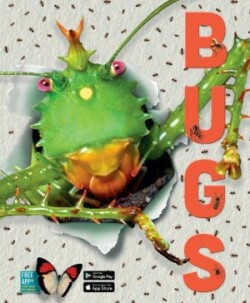 Bugs