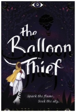 Balloon Thief