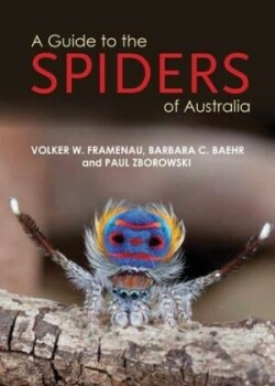 A Guide to Spiders of Australia