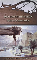 Dealing with Python