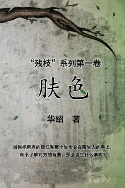 Color of Skin (Simplified Chinese Edition)