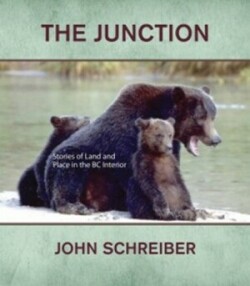 Junction