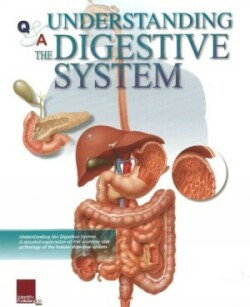 Understanding the Digestive System Flip Chart