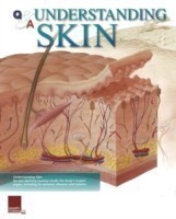 Understanding Skin Flip Chart