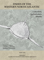 Lancelets, Cyclostomes, Sharks