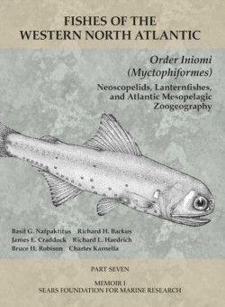 Order Iniomi (Myctophiformes)