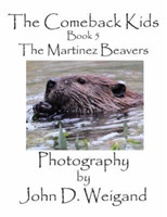 Comeback Kids, Book 5, The Martinez Beavers
