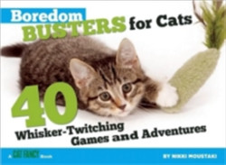 Boredom Busters for Cats