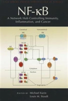 Nf-κb: A Network Hub Controlling Immunity, Inflammation, and Cancer