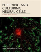 Purifying and Culturing Neural Cells
