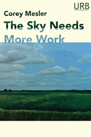 Sky Needs More Work