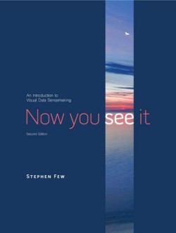 Now You See It: An Introduction to Visual Data Sensemaking (2ND ed.)