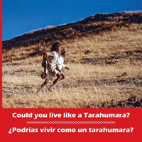 Could you live like a Tarahumara? ¿Podrías vivir como un tarahumara? Bilingual Spanish and English