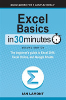 Excel Basics In 30 Minutes (2nd Edition)