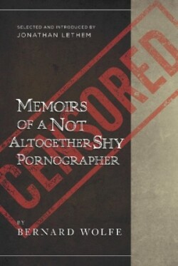Memoirs of a Not Altogether Shy Pornographer