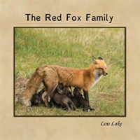 Red Fox Family