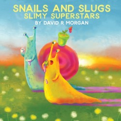 Snails and Slugs