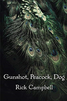 Gunshot, Peacock, Dog