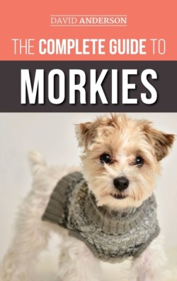 Complete Guide to Morkies