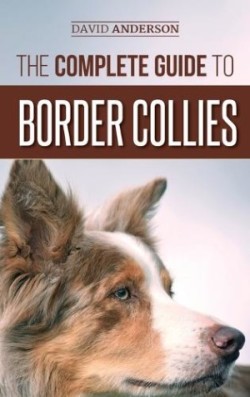 Complete Guide to Border Collies