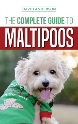 Complete Guide to Maltipoos