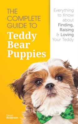 Complete Guide To Teddy Bear Puppies