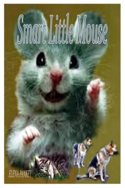 Smart Little Mouse