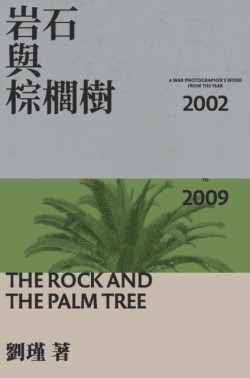 Rock And The Palm Tree