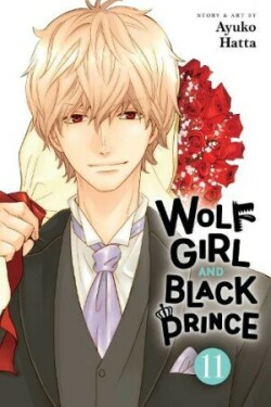 Wolf Girl and Black Prince, Vol. 11