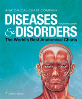Diseases & Disorders The World's Best Anatomical Charts