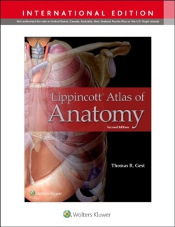 Lippincott Atlas of Anatomy, 2nd ed.