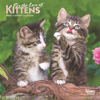 Kittens, for the Love of 2020 Mini Wall Calendar