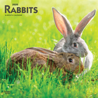 Rabbits 2020 Square Wall Calendar